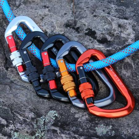 Kletterkarabiner mit Drehverschluss, selbstverriegelnd und strapazierfähig, CE-zertifiziert zum Klettern und Abseilen, Karabiner-Hundeleine, D-förmig, große Größe 