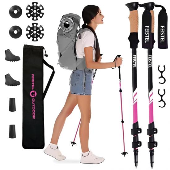 Wanderstock